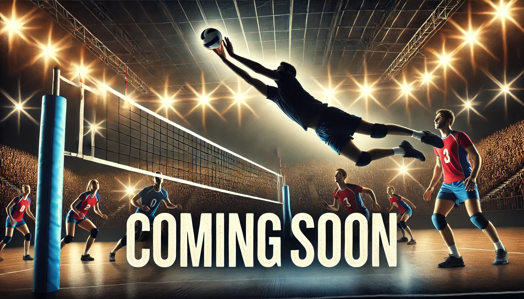 volleyball
